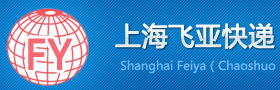 [Shanghai Feiya Express/ Shanghai Chaoshuo Lojistik] Logo