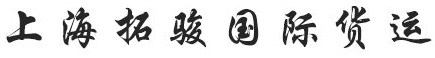 [Vận chuyển hàng hóa quốc tế Tuojun Thượng Hải] Logo