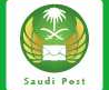 [Saoedi-Arabië Post/ Saoedi-Arabië Post/ Saudi e-commerce pakket/ Saudi groot pakket/ Saudi EMS/ Saoedi-Arabië e-commerce pakket] Logo