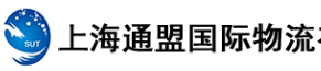 [શાંઘાઈ ટોંગમેંગ આંતરરાષ્ટ્રીય લોજિસ્ટિક્સ/ શાંઘાઈ ટોંગમેંગ આંતરરાષ્ટ્રીય નૂર] Logo