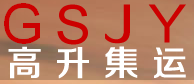 [Shenzhen Gaosheng nemzetközi fuvar/ Shenzhen Gaosheng konténersor] Logo