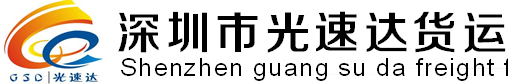 [Shenzhen Lightspeed International Freight/ Shenzhen Lightspeed International Logistics] Logo