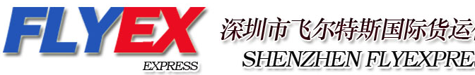 [Shenzhen Feitesi International Freight/ FLYEX Express/ Shenzhen Shensuda International Logistics] Logo