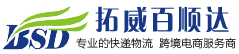 [Međunarodni teretni prijevoz Shenzhen Topway Baishunda/ Shenzhen Topway Baishunda International Logistics/ BSD Express] Logo