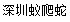 [Shenzheni sipelgate ronimismao ekspress/ Shenzheni sipelgate ronimismao logistika] Logo