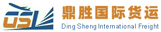 [ສິນຄ້າຂົນສົ່ງສາກົນ Yongkang Dingsheng/ ການຂົນສົ່ງສາກົນຂອງພະຍຸເຮີຣິເຄນ Yongkang/ Yongkang Dingsheng ດ່ວນສາກົນ] Logo