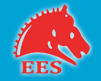 [Šanhajas Baifu Orient International Loģistika/ EES Express] Logo