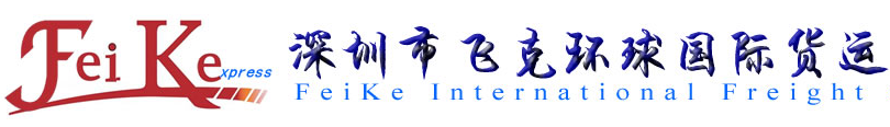 [ການຂົນສົ່ງດ່ວນສາກົນ Shenzhen Feike/ ການຂົນສົ່ງສາກົນຂອງ Shenzhen Flyke/ FeiKe ດ່ວນ] Logo
