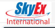 [سکیکس انٹرنیشنل/ اسکائی ایکسپریس دبئی۔/ اسکائی ایکس متحدہ عرب امارات۔/ متحدہ عرب امارات سکائی ایکسپریس] Logo