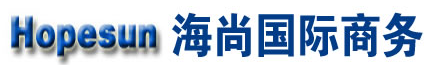 [Mezinárodní obchod Danyang Haishang/ Hopesun Logistics] Logo